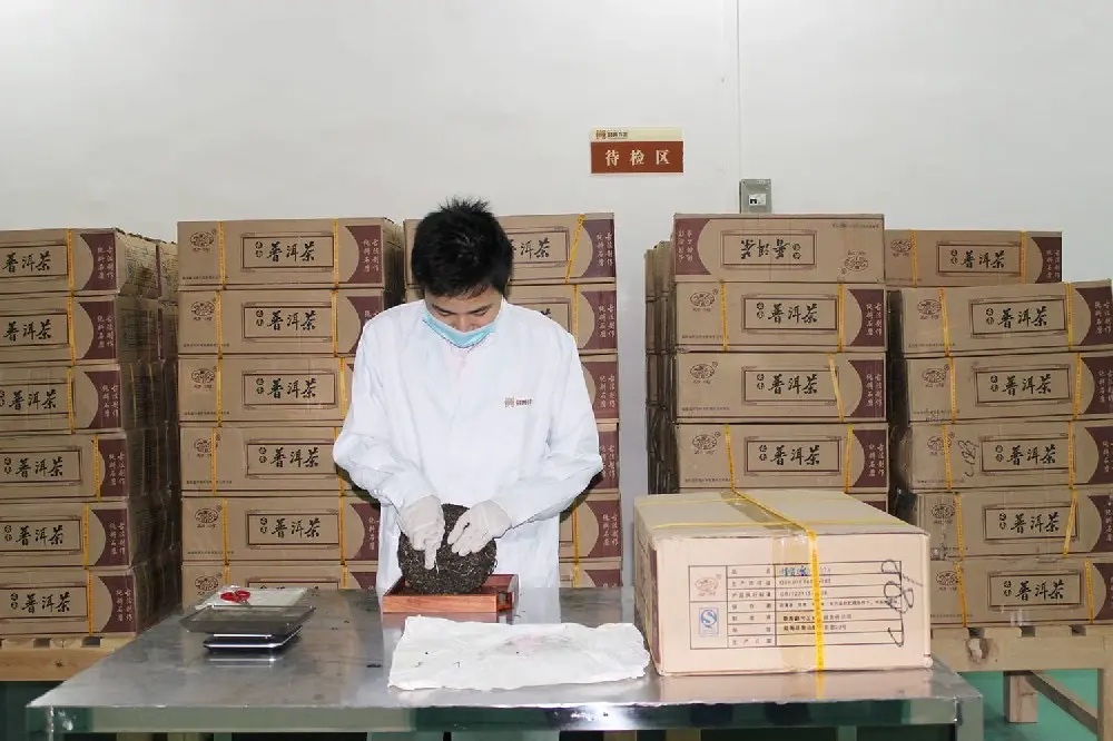 西双版纳普洱茶检验展示